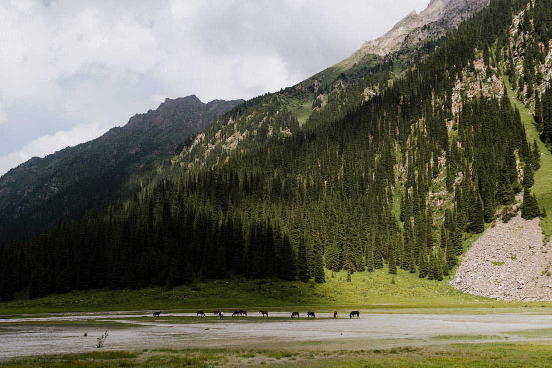 Nomadic June Journal Kyrgyzstan Part Four