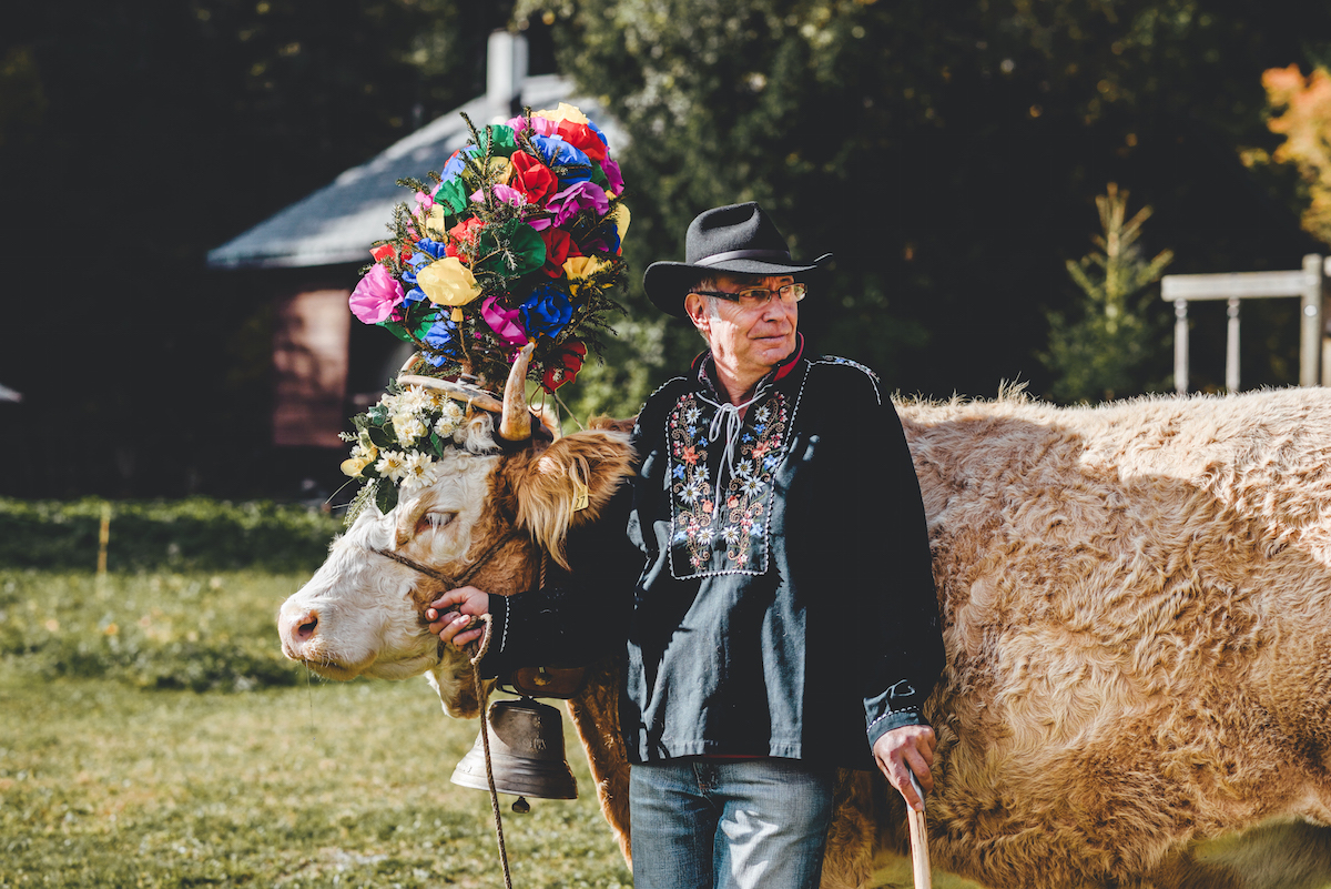 Nomadic June Journal Return of the Herd | Désalpe